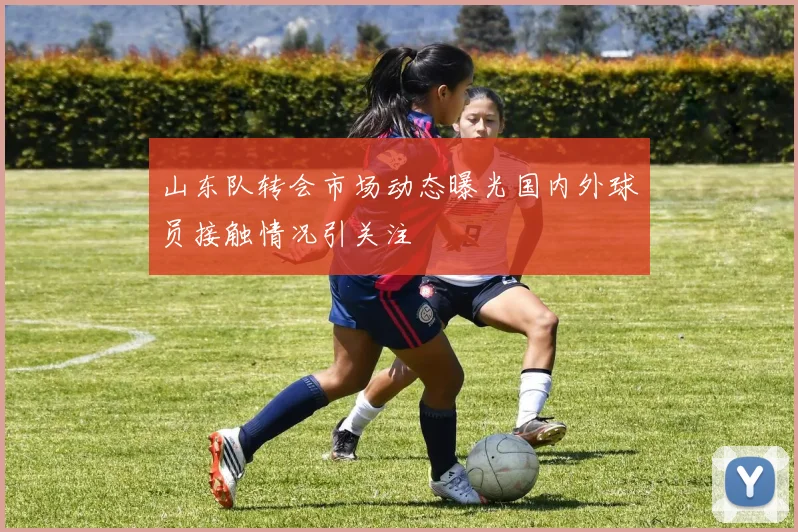 山东队转会市场动态曝光国内外球员接触情况引关注